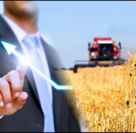 С опорой на землю