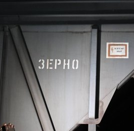 Пшеница раздора