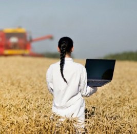 Не только аграрный сектор