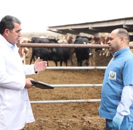 Оперативная реакция