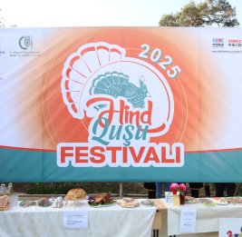 Фестиваль индейки