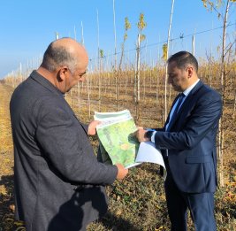 Когда страхование - не формальность