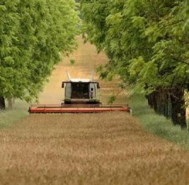 Зеленые гаранты устойчивости