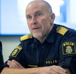 Полиция Швеции: ежегодно тысячи женщин подвергаются насилию