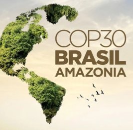 Бразилия спорила - Баку делал