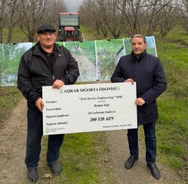 Надежная поддержка