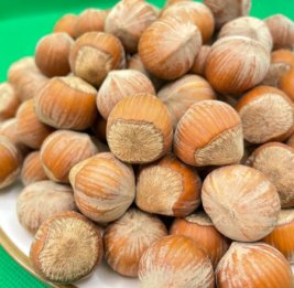 Экспортный ресурс