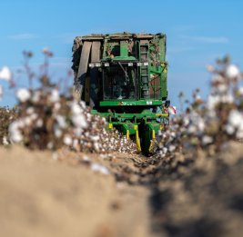 География трудолюбия