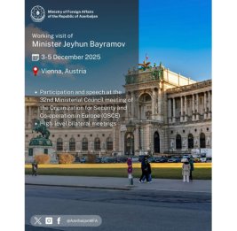 Министр иностранных дел Азербайджана отбыл с рабочим визитом в Австрию