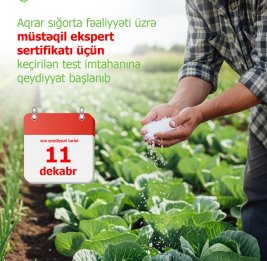 Корпус независимых экспертов