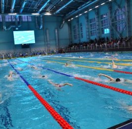 Баку принимает мировой заплыв