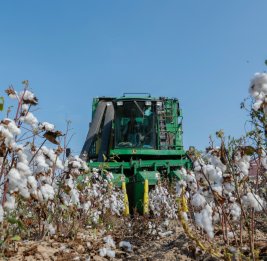 Тенденции и итоги сезона