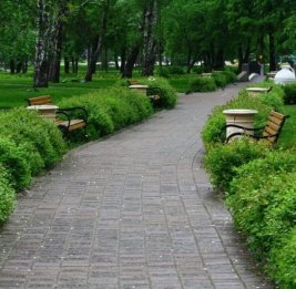 В Физули появится новый парк 