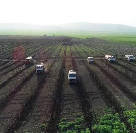 Агропарковая революция