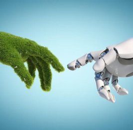 Искусственный интеллект угрожает экологии?