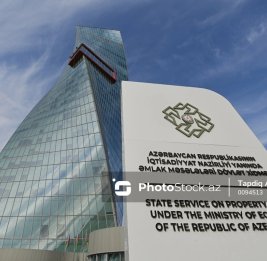 Госактивы в деле