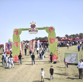 Доходное дело