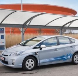 Гибриды - в фаворе