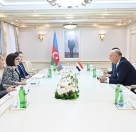 Обсуждены межпарламентские связи между Азербайджаном и Египтом