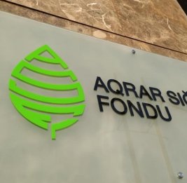 Не ждать беды!