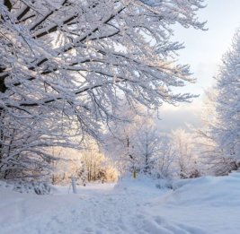 В Азербайджан пришла зима