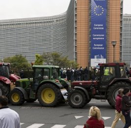 Самоуничтожение ЕС