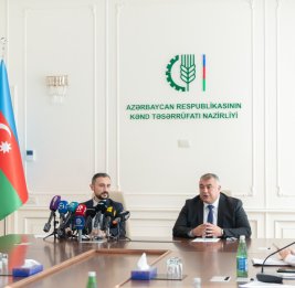 Под знаком возрождения