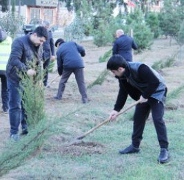 Следуя традициям