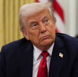 Представители НПО Азербайджана написали открытое письмо Президенту США Дональду Трампу