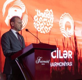 Гармония шелка и серебра