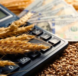 Продовольственный расчет 