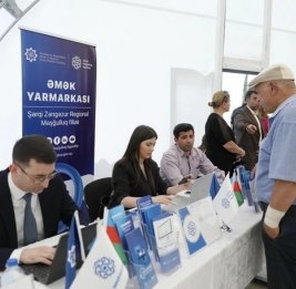 Непрозрачное трудоустройство