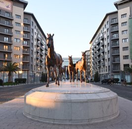 На пике популярности