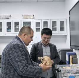 Источник инновации - влияние степных племен