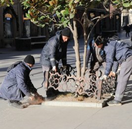 Настоящая зона комфорта