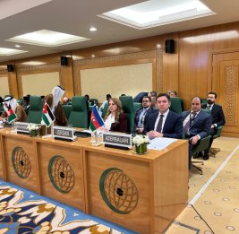 Заместитель министра иностранных дел принял участие во внеочередном заседании по ситуации в Сомали