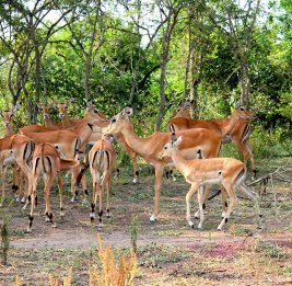 Сегодня - Всемирный день заповедников и национальных парков