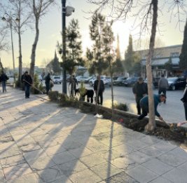 &laquo;Зеленая&raquo; акция