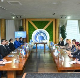 На заседании Федерации каноэ и гребли Азербайджана принят ряд решений