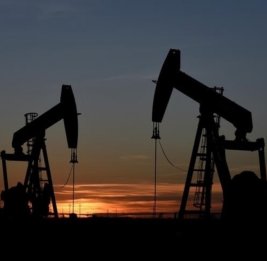 ОПЕК обнародовала прогноз по спросу на нефть на этот год