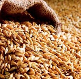 &laquo;Кормушка&raquo; прикрыта