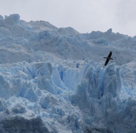 На краю света рождается новый национальный парк