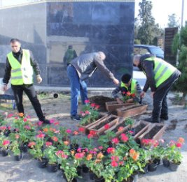 Зеленый Нафталан