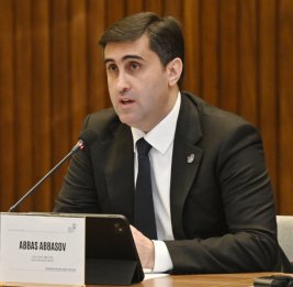 Аббас Аббасов: Ни одна конференция не способна в полной мере отразить убийства, нарушения прав человека и зверства, с которыми столкнулись сикхи