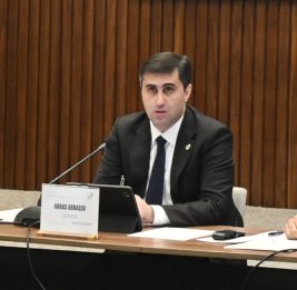 Бакинская инициативная группа наладила сотрудничество с более чем 20 странами и заморскими территориями