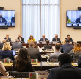 В Женеве состоялся международный дипломатический брифинг в связи с WUF13