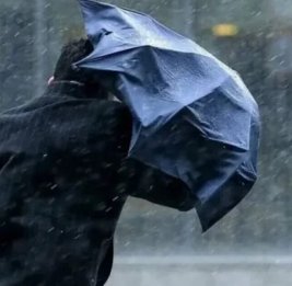 МЧС обратилось к населению в связи с ухудшением погоды