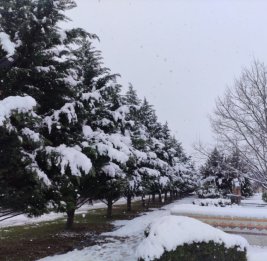 Северный регион: Высота снежного покрова 16 см, температура воздуха &ndash; минус 11 градусов