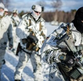 Военнослужащим Бундесвера внезапно приказали покинуть Гренландию