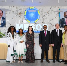 Лейла Алиева посетила в Эфиопии центр государственных услуг MESOB